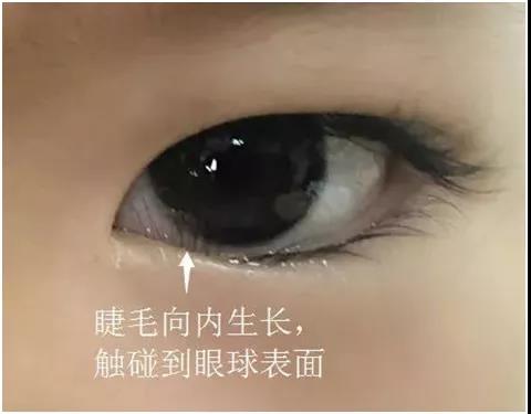 1604880459771132.jpg 微信圖片_20201109080102.jpg